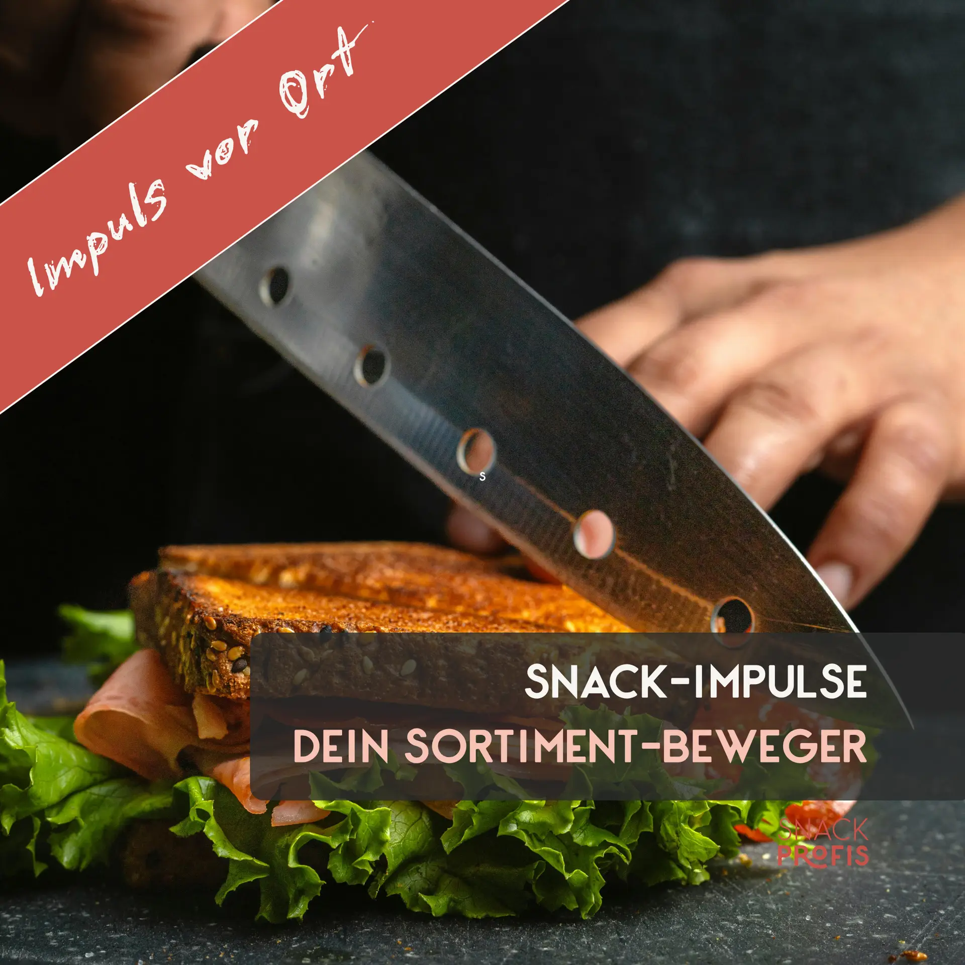 Snack-Impulse von SNACKPROFIS: 2-Tages-Workshop für Bäckerei, Gastro & Tankstelle. Entwickle 6–8 neue Snackideen, optimiere Abläufe und motiviere dein Team.